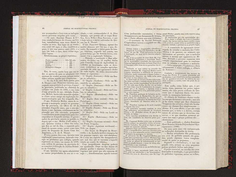Jornal de horticultura prtica XVIII 38
