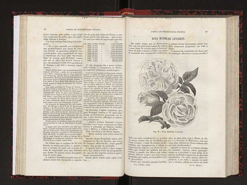 Jornal de horticultura prtica XVIII 39