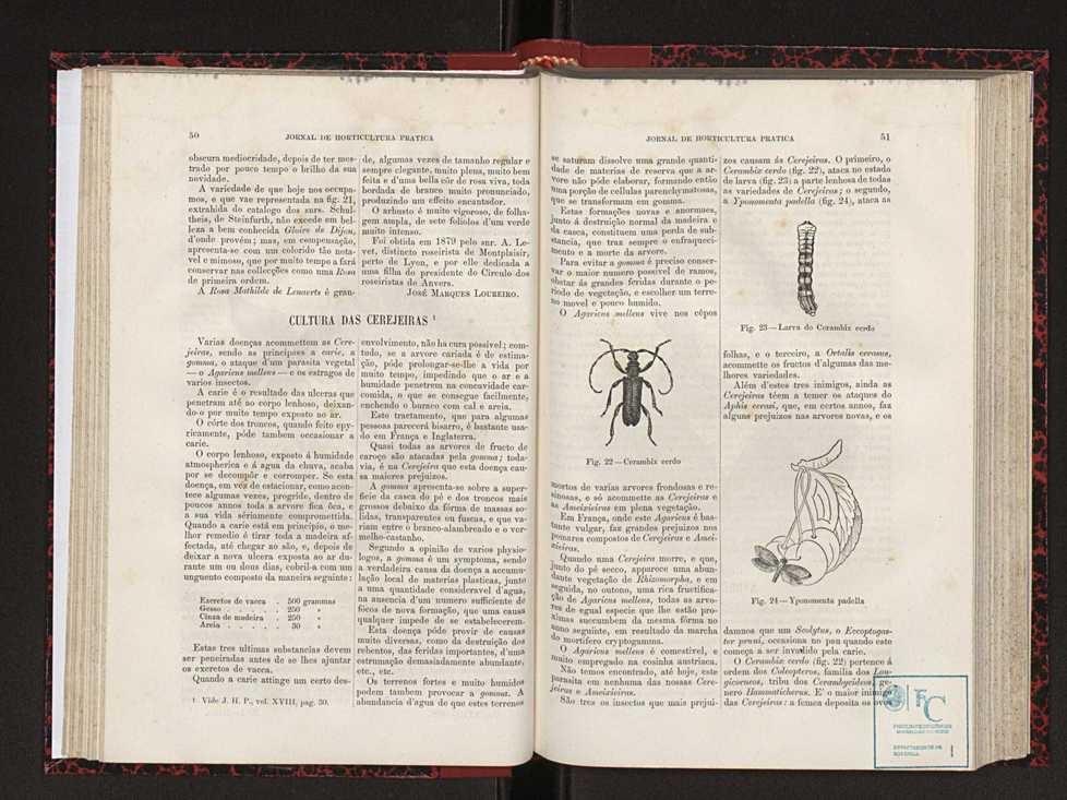 Jornal de horticultura prtica XVIII 40