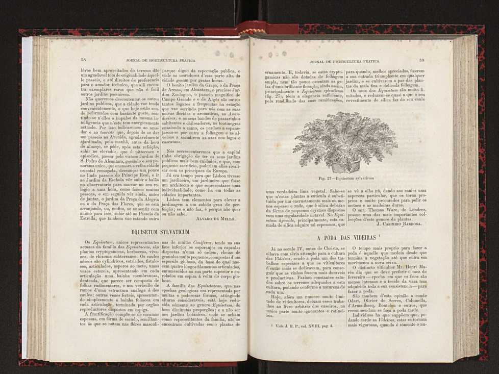Jornal de horticultura prtica XVIII 44
