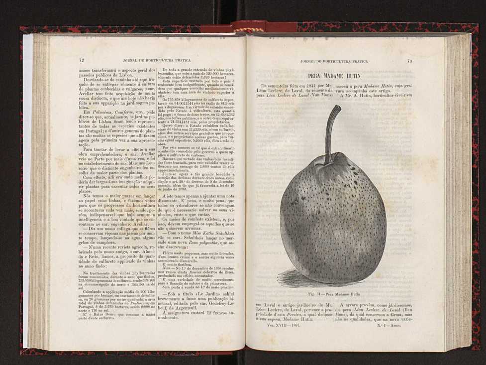 Jornal de horticultura prtica XVIII 51
