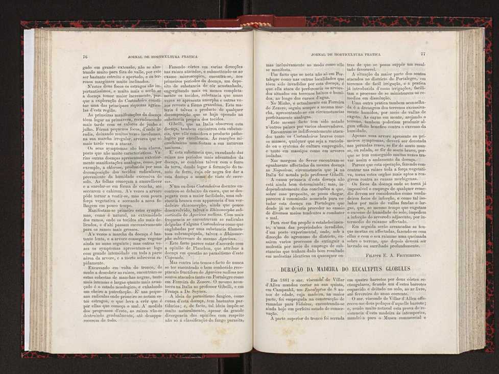Jornal de horticultura prtica XVIII 53