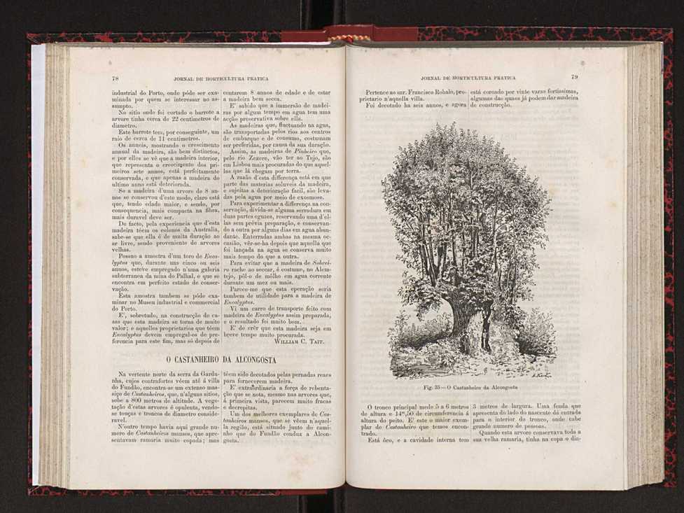 Jornal de horticultura prtica XVIII 54