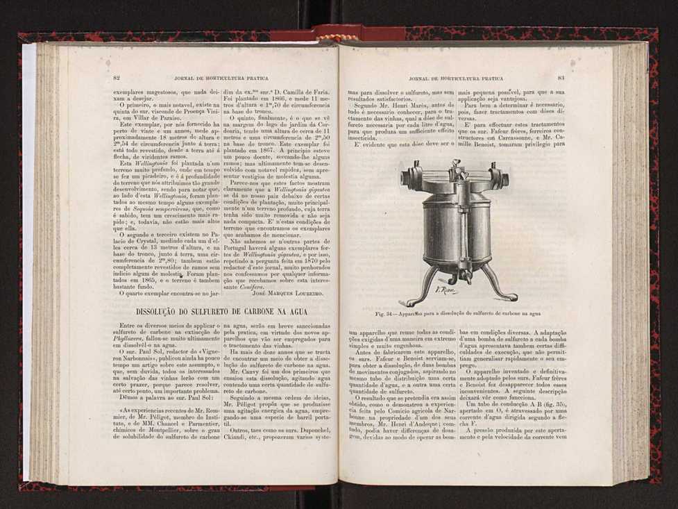 Jornal de horticultura prtica XVIII 56