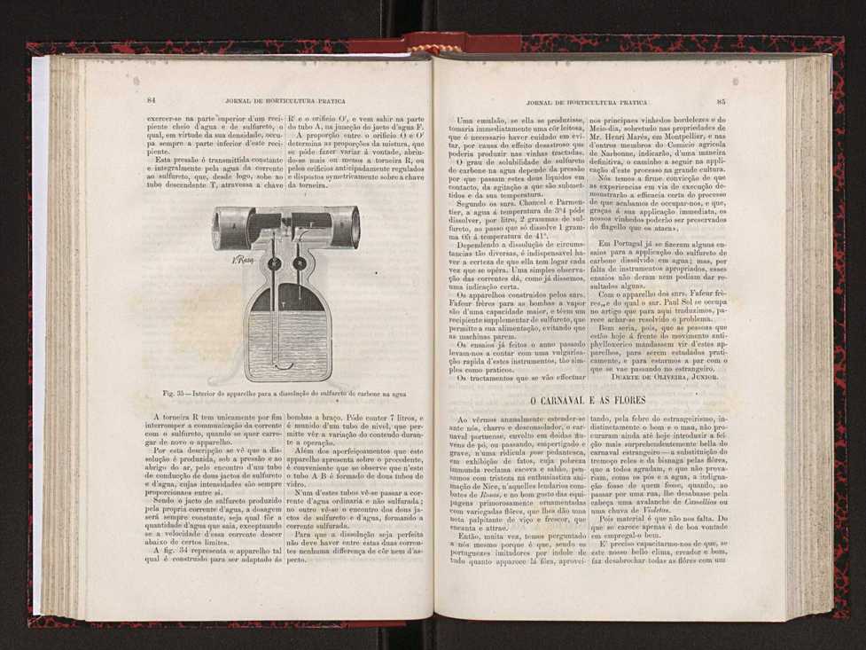 Jornal de horticultura pr�tica XVIII 57