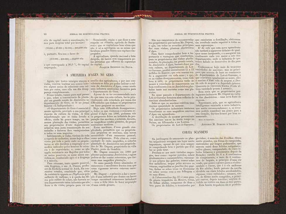 Jornal de horticultura prtica XVIII 60