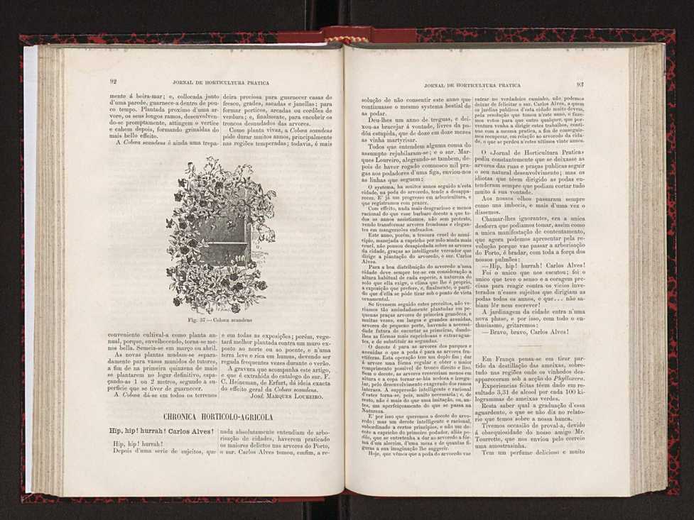 Jornal de horticultura pr�tica XVIII 61