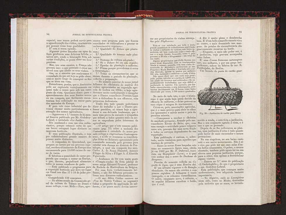 Jornal de horticultura prtica XVIII 62