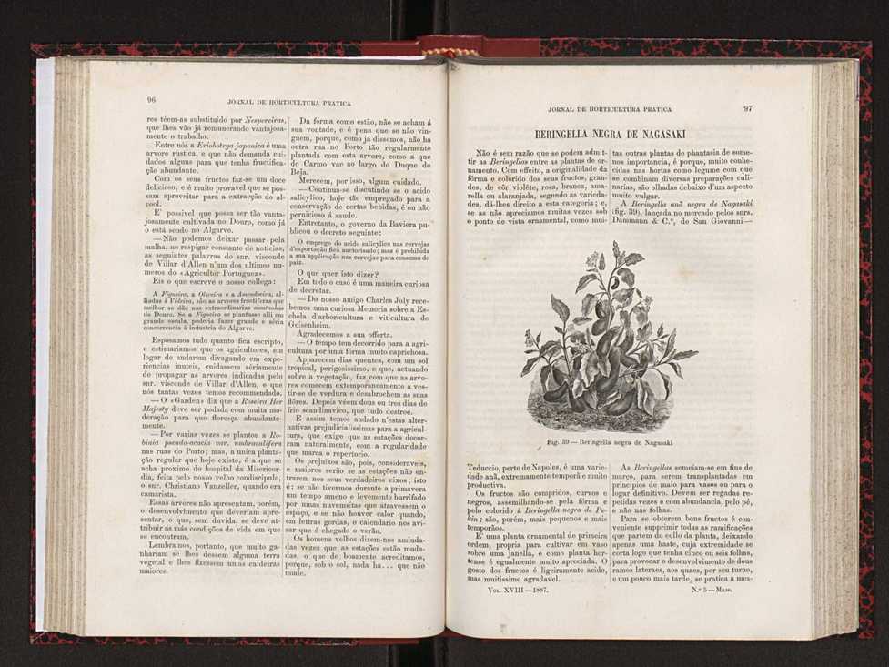 Jornal de horticultura prtica XVIII 63
