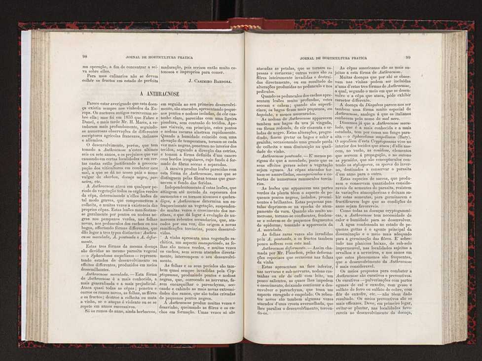 Jornal de horticultura prtica XVIII 64