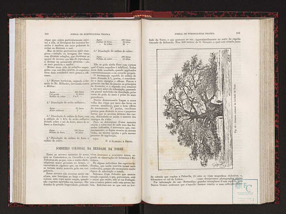 Jornal de horticultura prtica XVIII 65