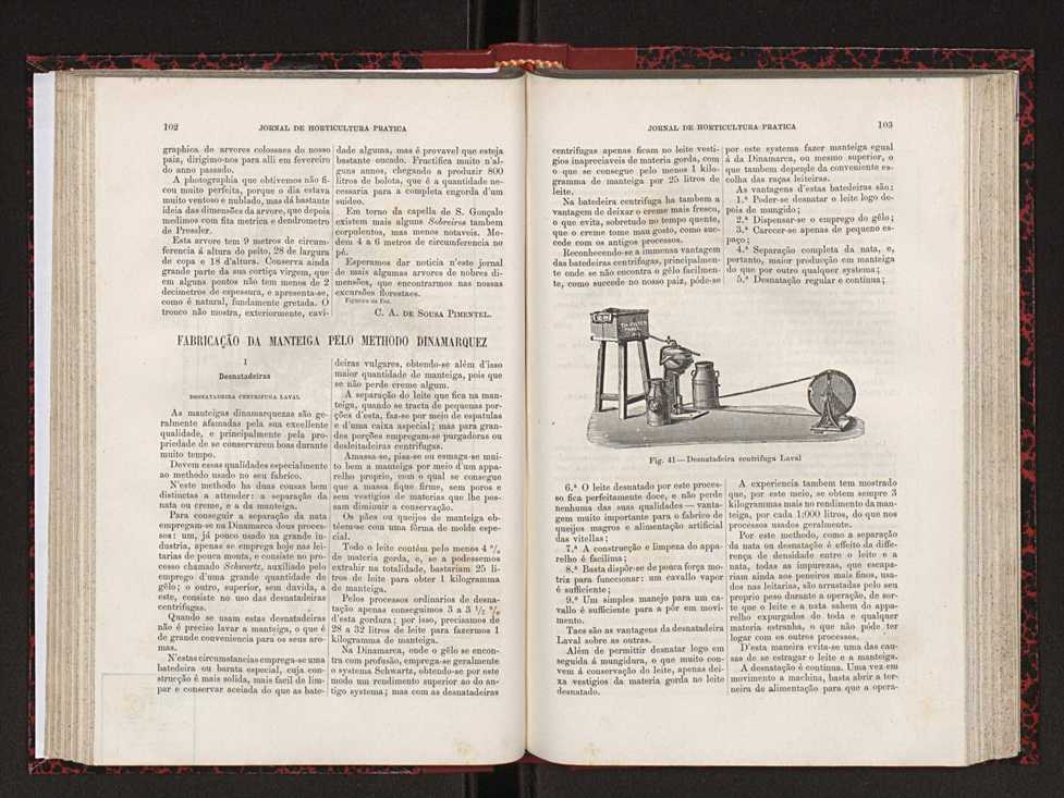 Jornal de horticultura prtica XVIII 66