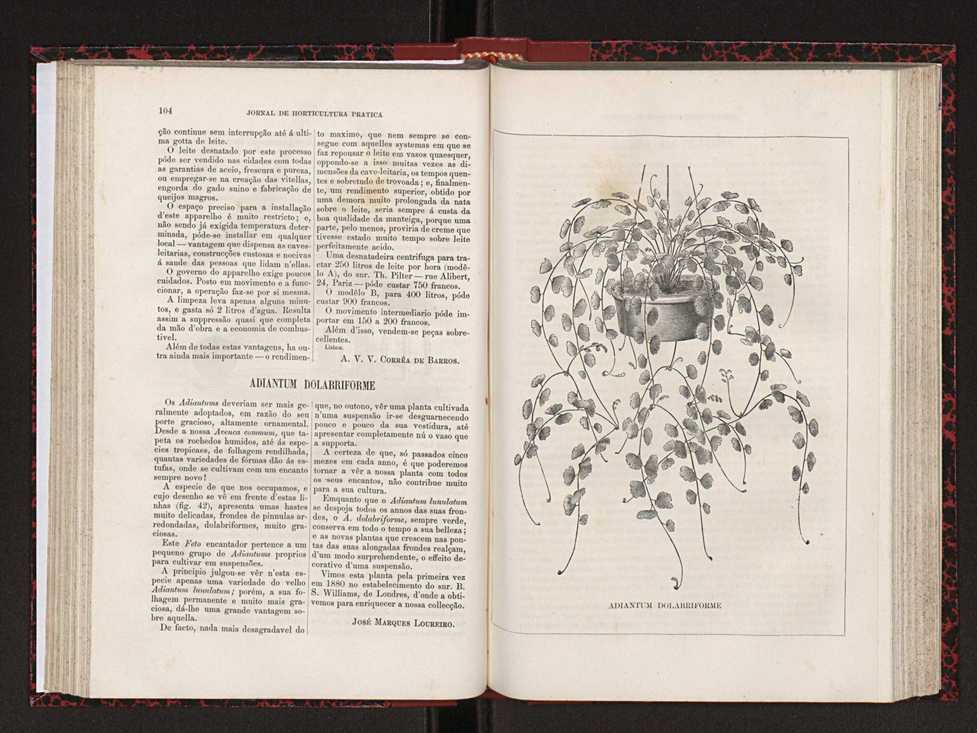Jornal de horticultura prtica XVIII 67