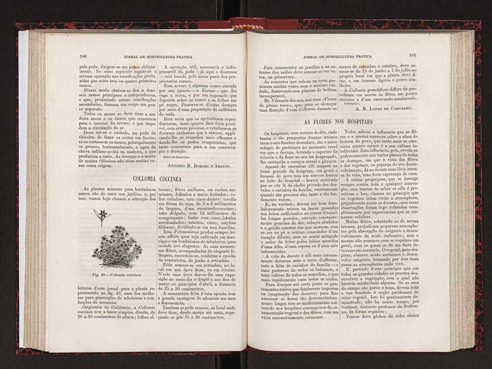 Jornal de horticultura prtica XVIII 69