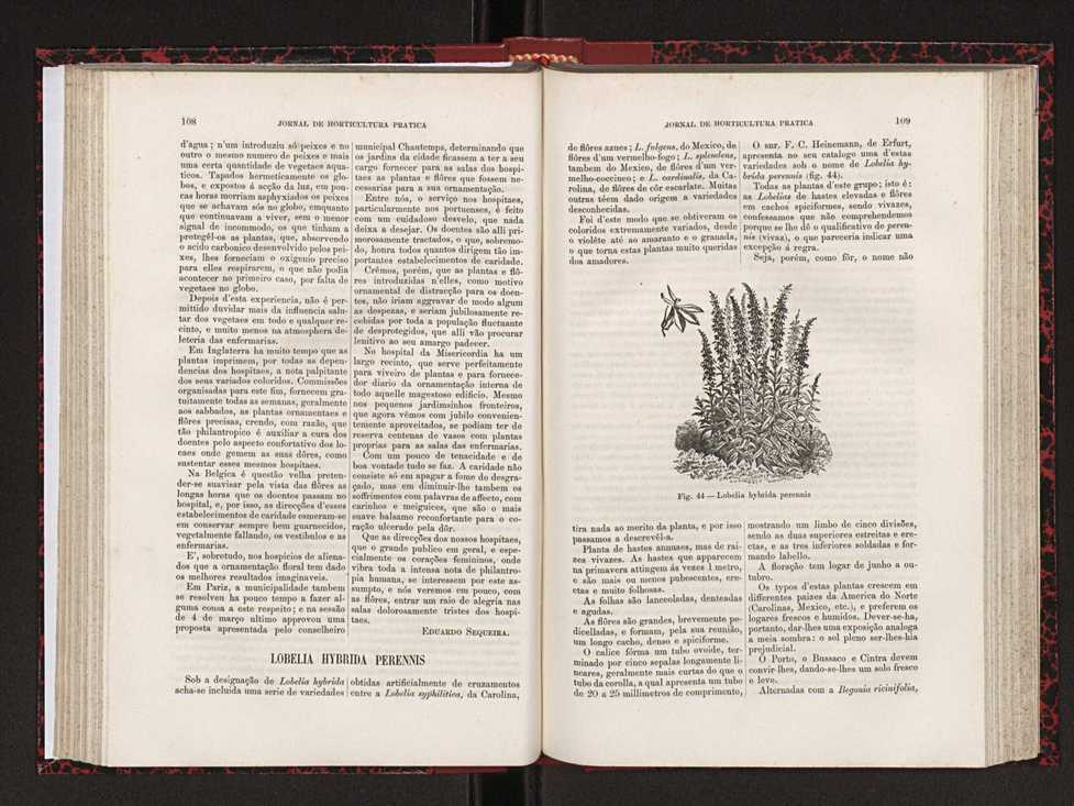 Jornal de horticultura prtica XVIII 70