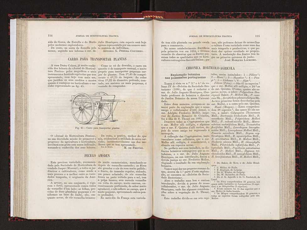 Jornal de horticultura prtica XVIII 73