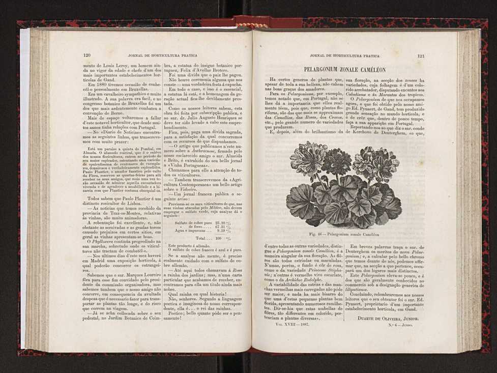 Jornal de horticultura prtica XVIII 76