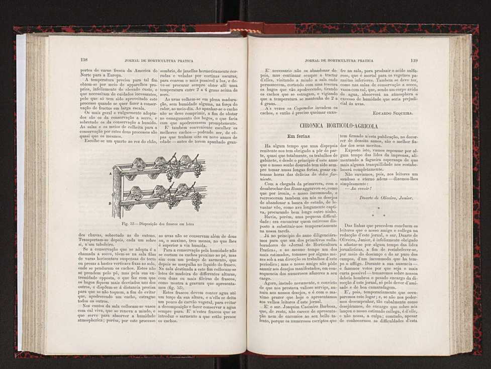 Jornal de horticultura prtica XVIII 83