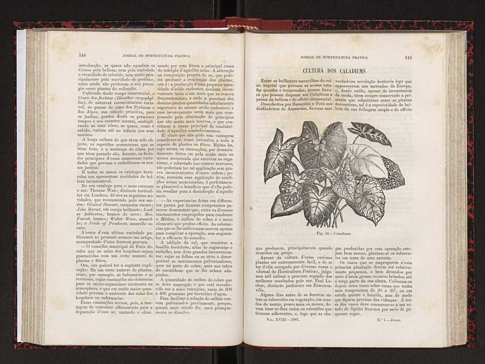 Jornal de horticultura prtica XVIII 86