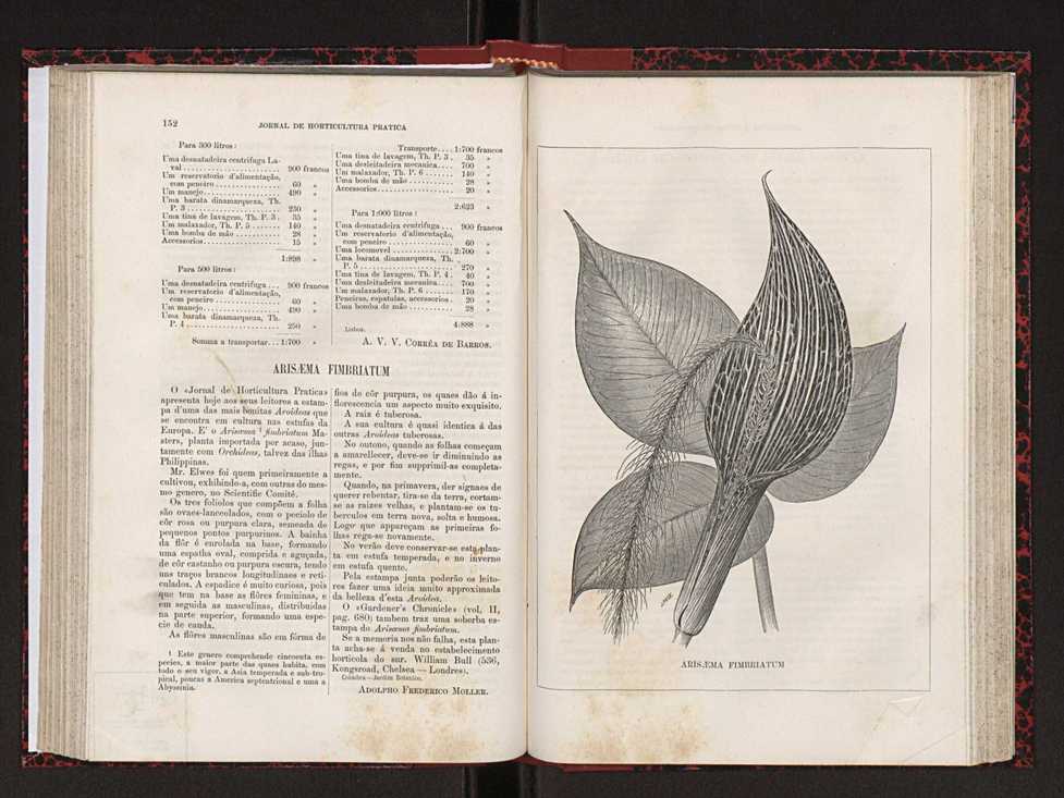 Jornal de horticultura prtica XVIII 90