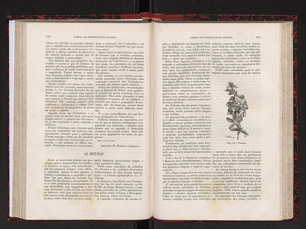 Jornal de horticultura prtica XVIII 92
