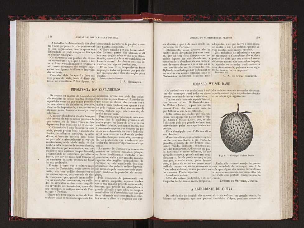 Jornal de horticultura prtica XVIII 94