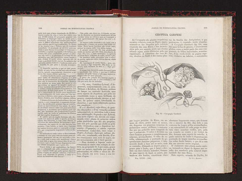 Jornal de horticultura prtica XVIII 99