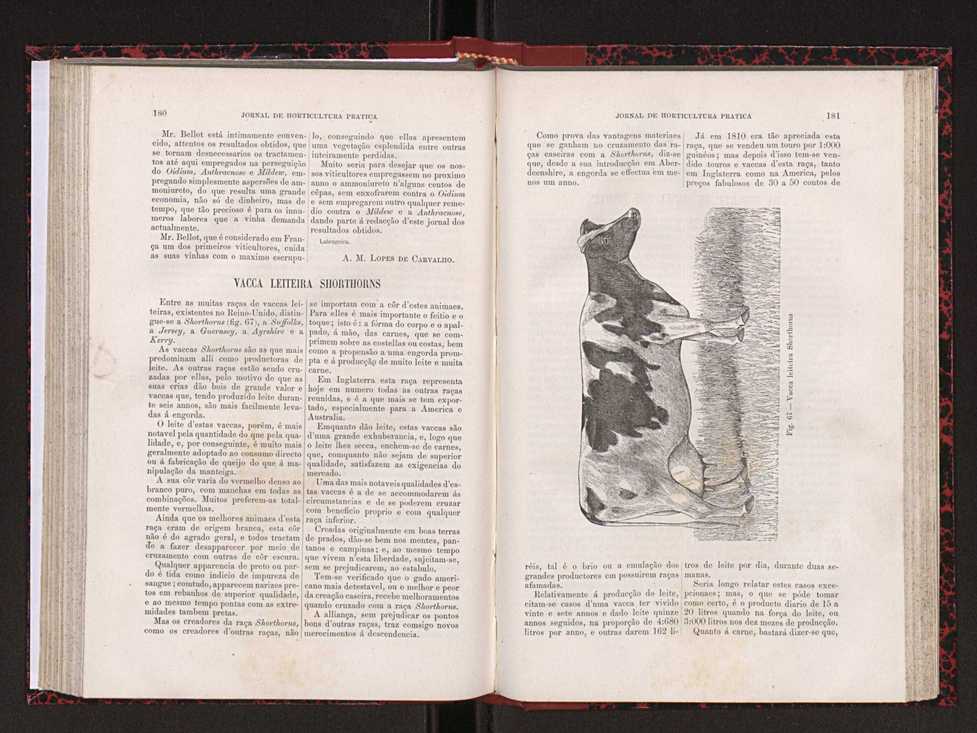 Jornal de horticultura pr�tica XVIII 103