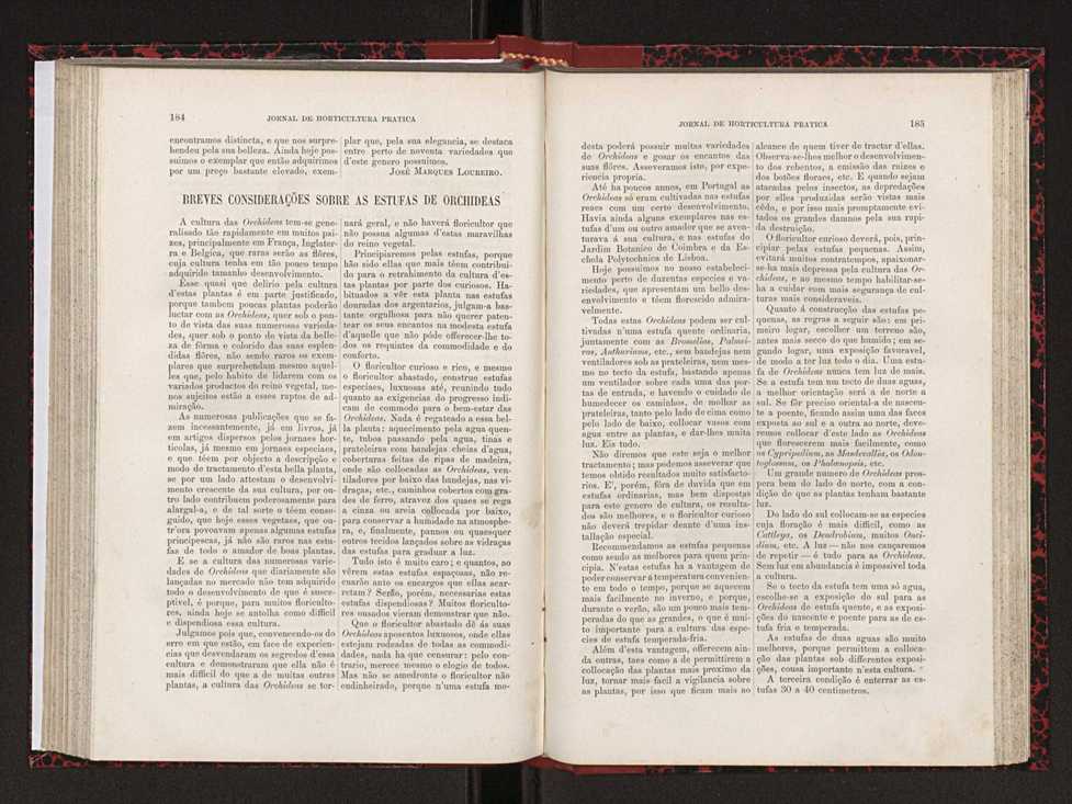 Jornal de horticultura pr�tica XVIII 105