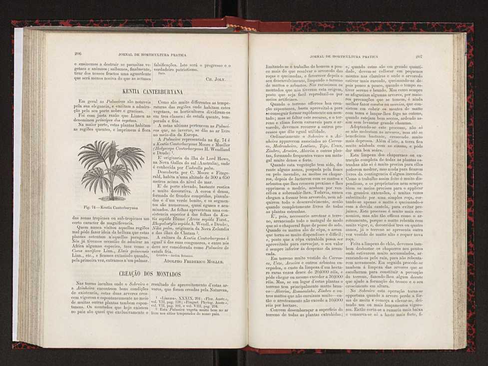 Jornal de horticultura prtica XVIII 117