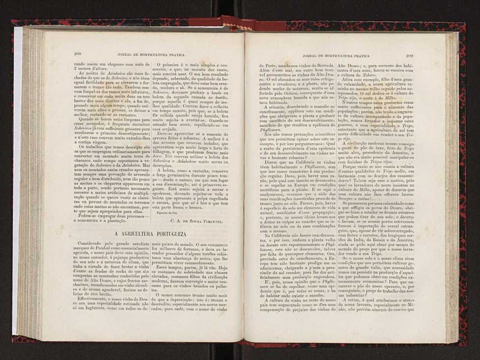 Jornal de horticultura prtica XVIII 118