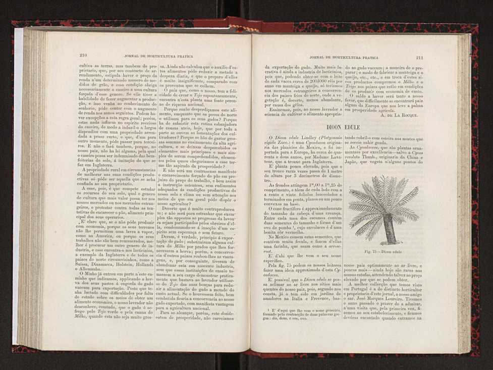 Jornal de horticultura pr�tica XVIII 119