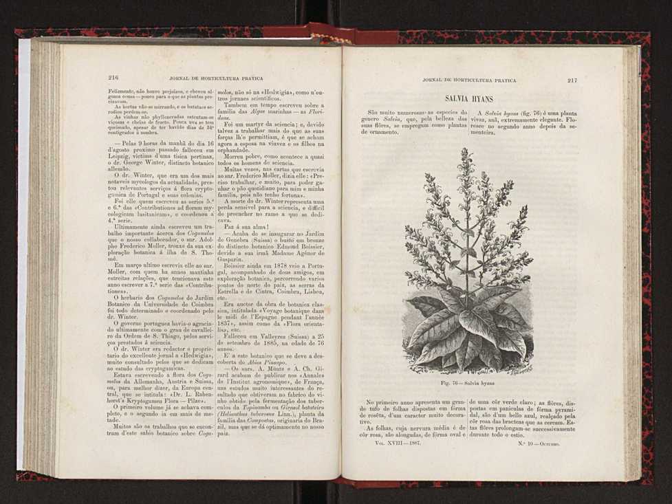 Jornal de horticultura prtica XVIII 122