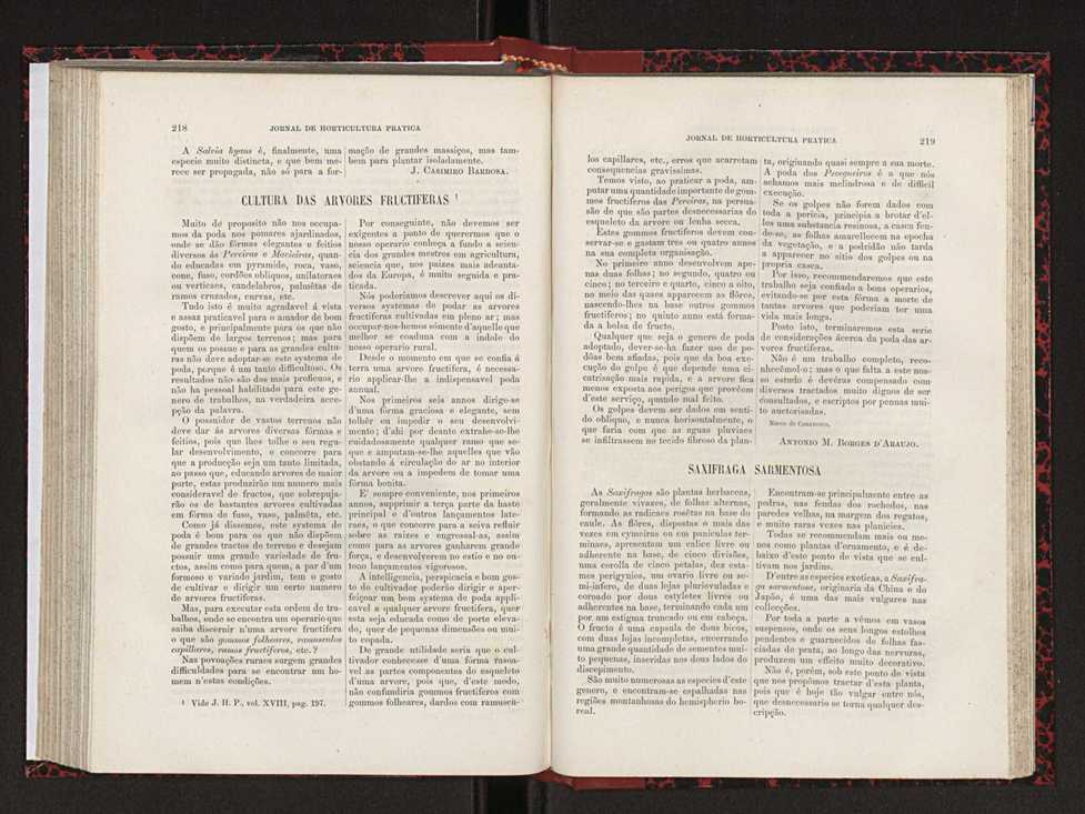 Jornal de horticultura prtica XVIII 123