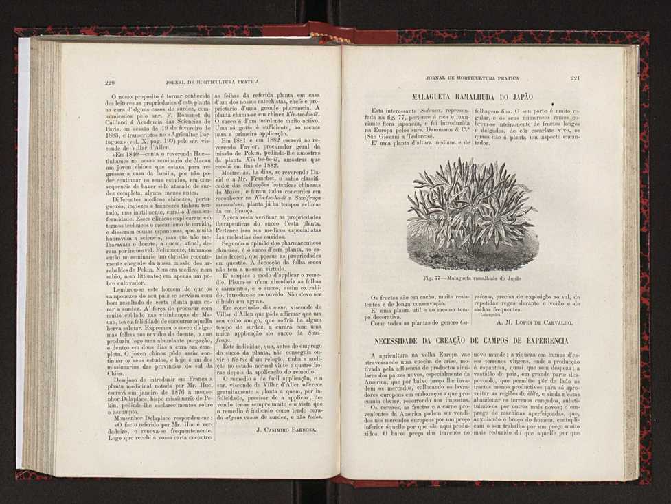 Jornal de horticultura prtica XVIII 124