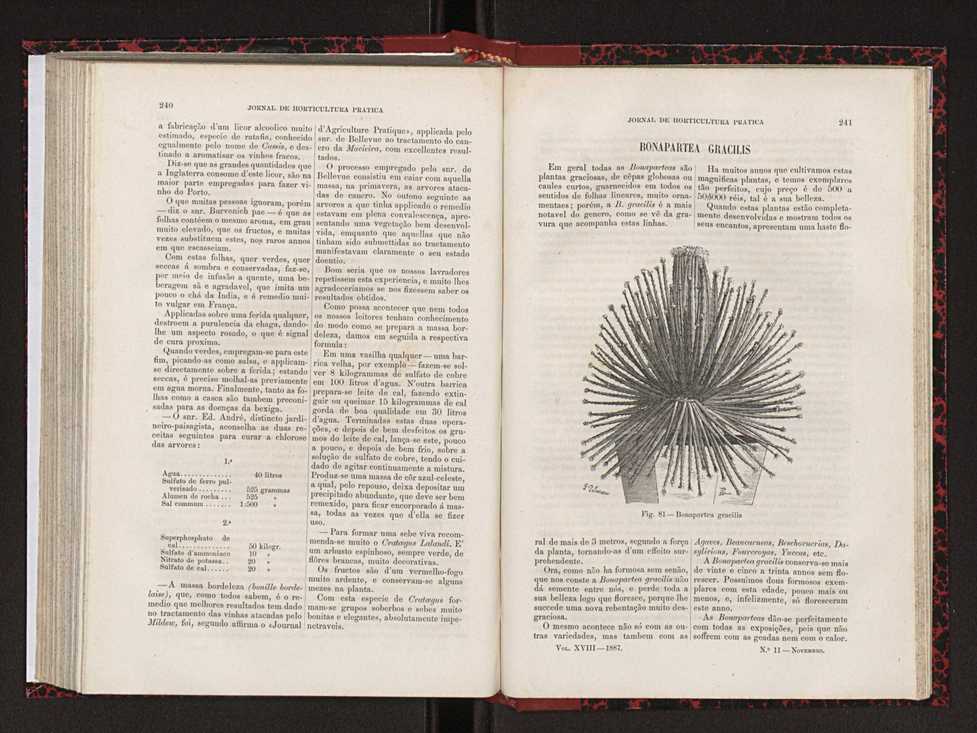 Jornal de horticultura prtica XVIII 135