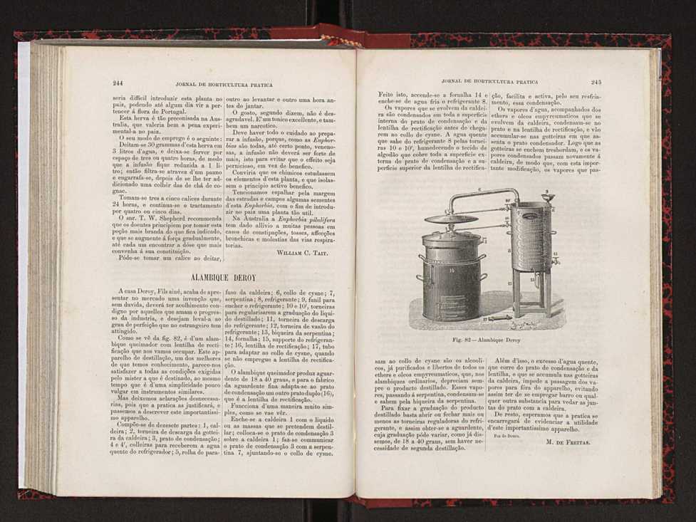 Jornal de horticultura prtica XVIII 137