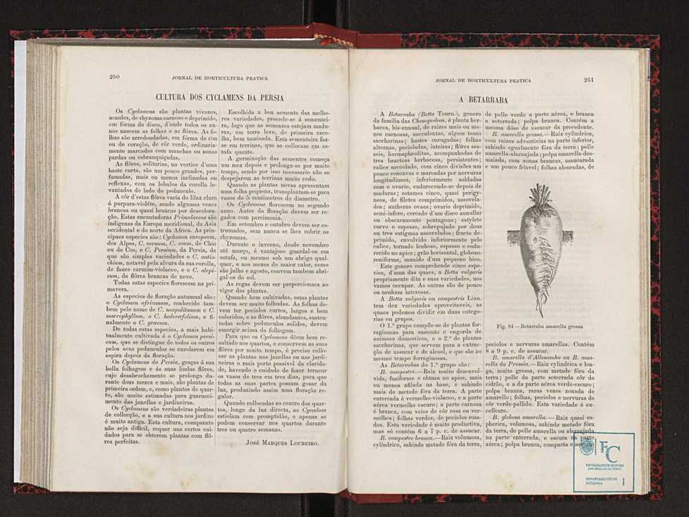 Jornal de horticultura prtica XVIII 141