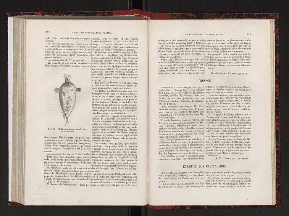 Jornal de horticultura prtica XVIII 142