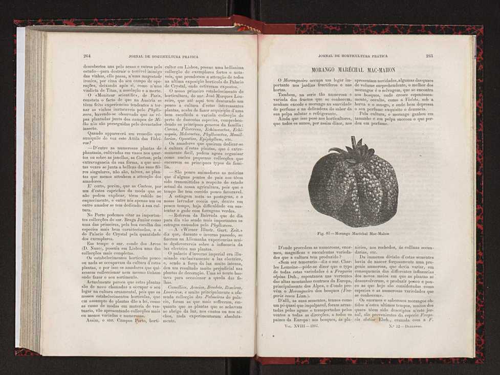 Jornal de horticultura prtica XVIII 148