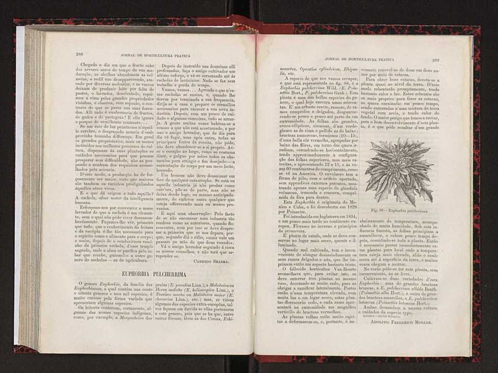 Jornal de horticultura prtica XVIII 150