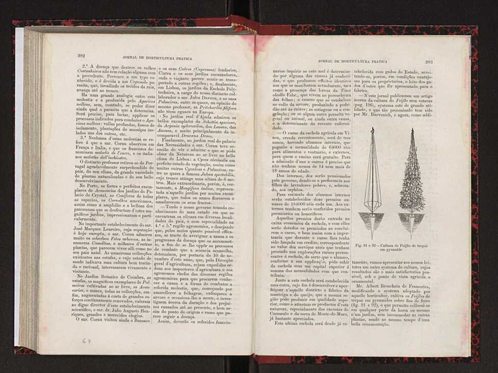 Jornal de horticultura prtica XVIII 157