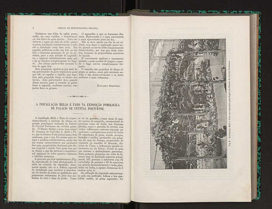 Jornal de horticultura prtica XXII 12