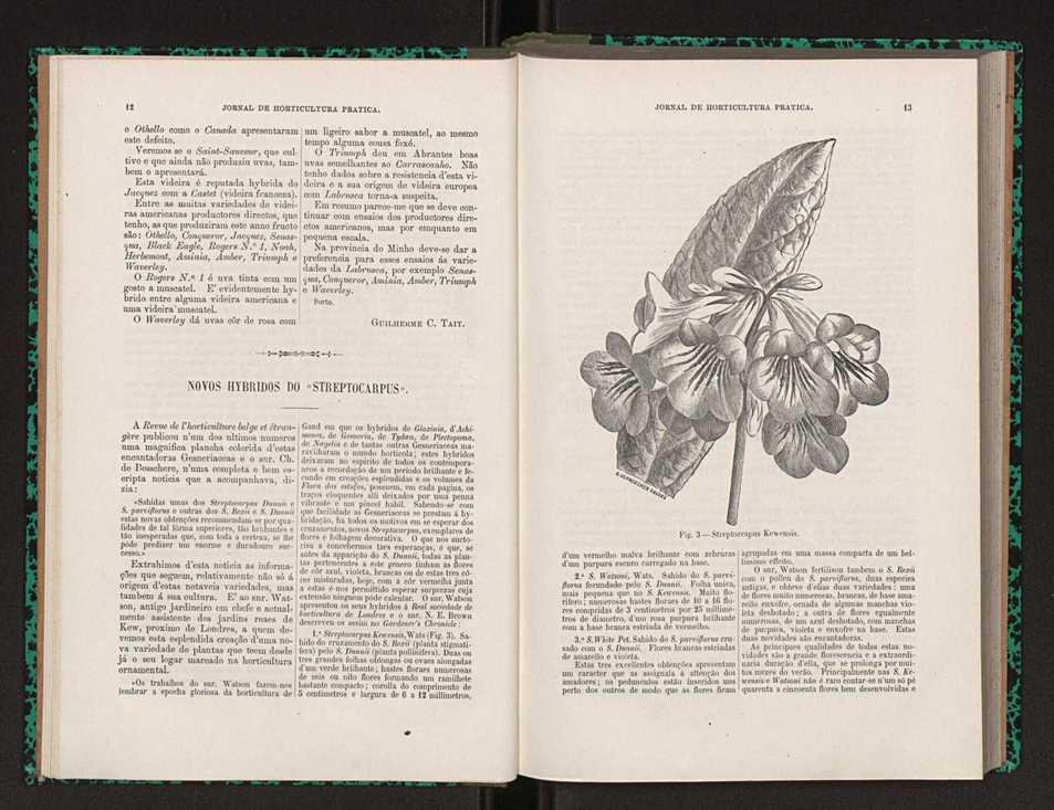 Jornal de horticultura prtica XXII 14