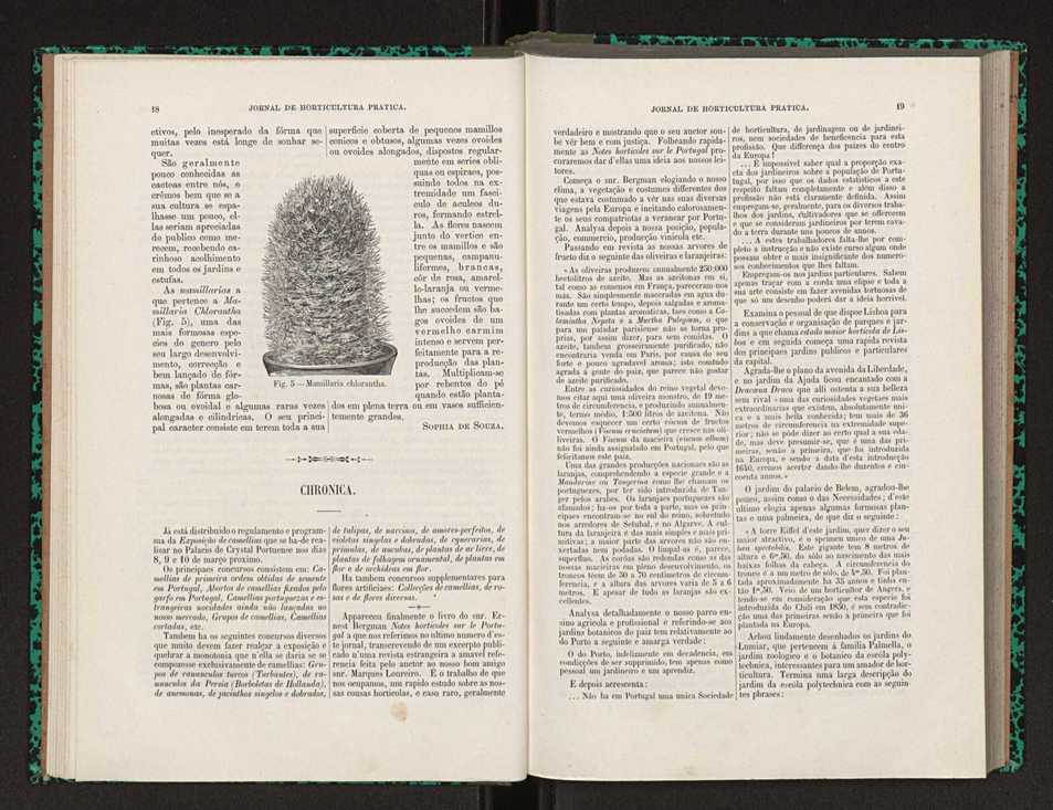 Jornal de horticultura pr�tica XXII 17