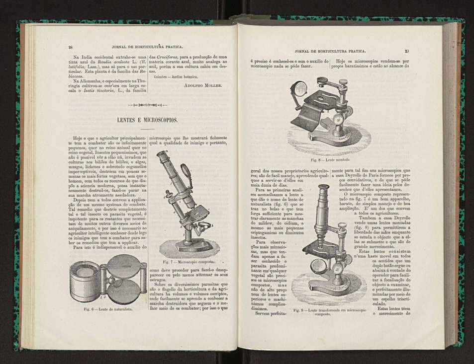 Jornal de horticultura prtica XXII 24