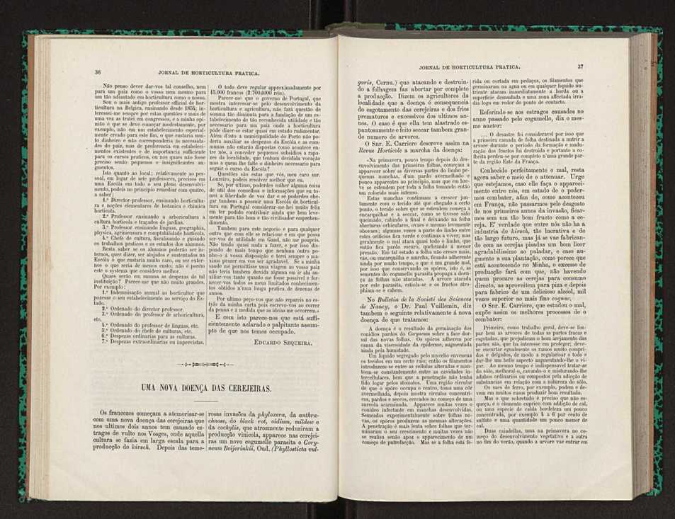 Jornal de horticultura prtica XXII 28