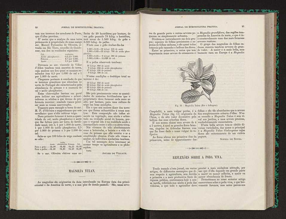 Jornal de horticultura prtica XXII 30