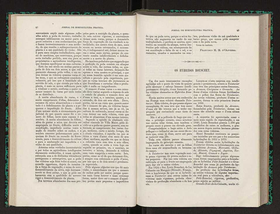 Jornal de horticultura prtica XXII 31