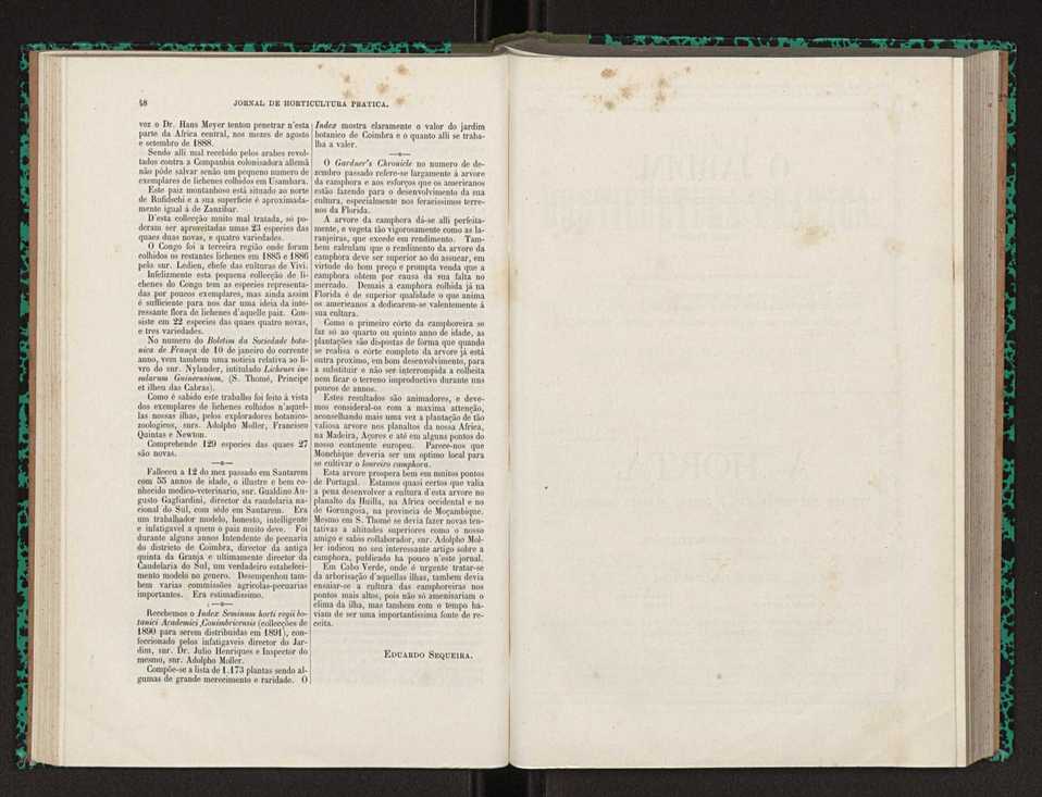 Jornal de horticultura prtica XXII 34